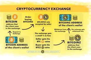 What is crypto and Crypto Exchange 2024